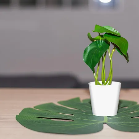 A 100 M De La Vielle Ville, Proche Remparts, Cosy Apartament