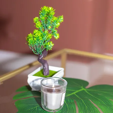 A 100 M De La Vielle Ville, Proche Remparts, Cosy Apartament *